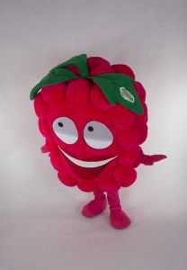 Promotional costume - Raspberry