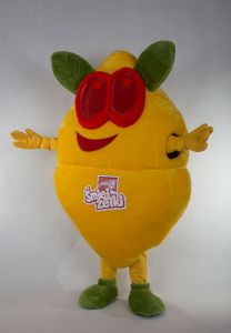 Promotional costume - Fruit