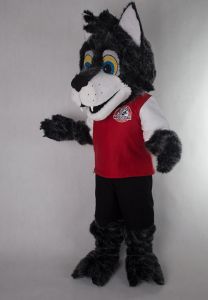 Promotional costume made for Football Academy Wilczki